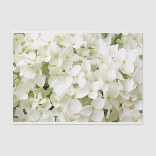 Witte Hortensia Zomerfeest Tissuepapier