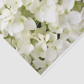 Witte Hortensia Zomerfeest Tissuepapier