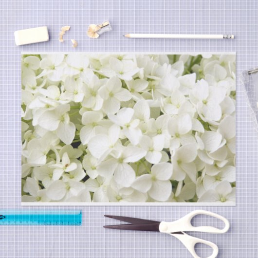 Witte Hortensia Zomerfeest  Tissuepapier (Craft)