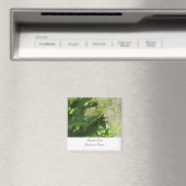 Witte Hortensia's Bewaar de Datum Magneet (Insitu (Vaatwasser))