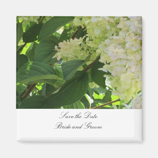 Witte Hortensia's Bewaar de Datum Magneet (Voorkant)