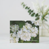 Witte Hortensia's Briefkaart (Staand voorkant)