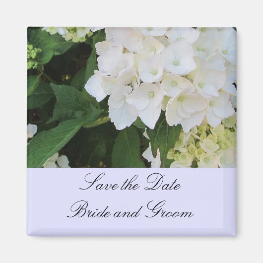 Witte Hortensia's Magneet (Voorkant)