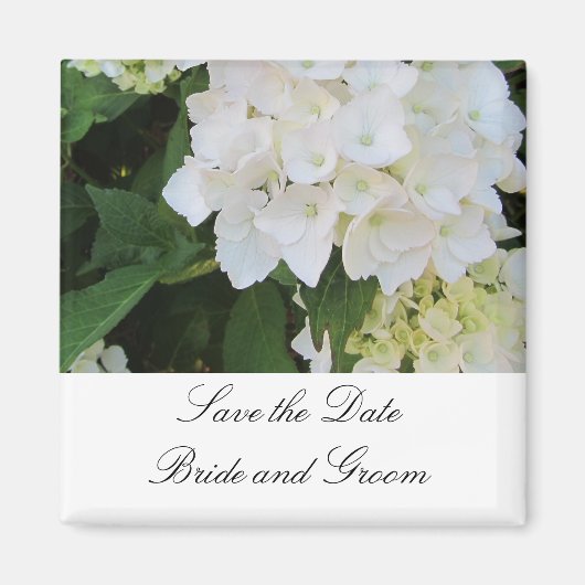 Witte Hortensia's Magneet (Voorkant)