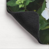 Witte Hortensia's Muismat (Hoek)