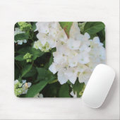Witte Hortensia's Muismat (Met muis)