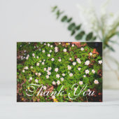 Witte houten anemoon lente bloemen bedankkaart (Staand voorkant)