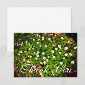 Witte houten anemoon lente bloemen bedankkaart (Voorkant / Achterkant)