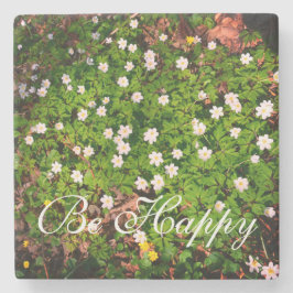 Witte houten anemoon lente bloemen gelukkig zijn stenen onderzetter