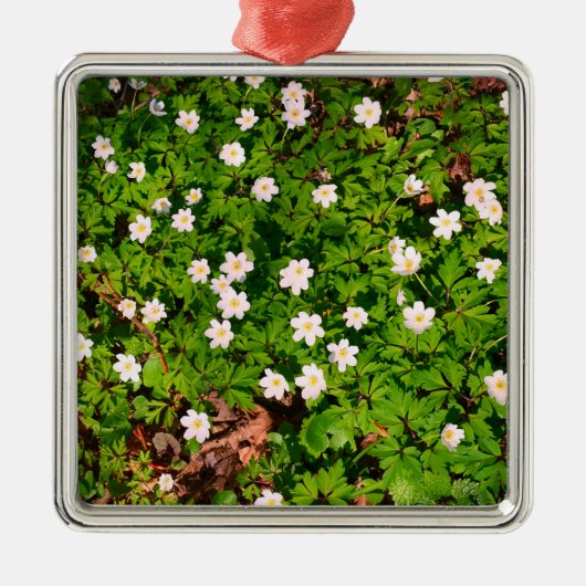 Witte houten anemoon lente bloemen metalen ornament (Voorkant)