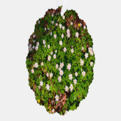 Witte houten anemoon lente bloemen ornament kaart (Rechts)