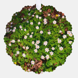 Witte houten anemoon lente bloemen ornament kaart