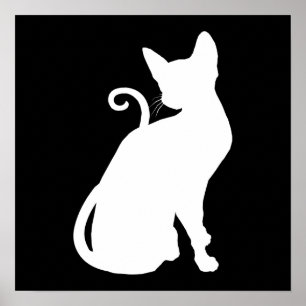Witte Huis Kat Poster