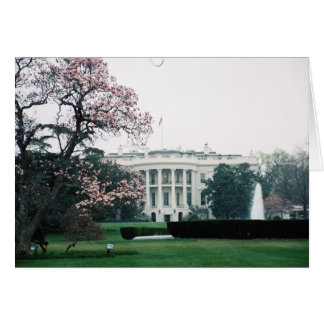 Witte Huis met Cherry Blossom