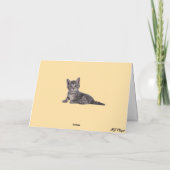 Witte Huis reus Tabby Kaart (Achterkant)