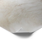 Witte Husky Hond Mooie Fotografie Poster (Hoek)