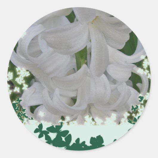 Witte hyacinten ronde sticker (Voorkant)