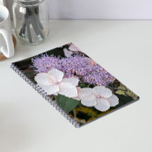 Witte Hydrangea Aspera Bloemen Bloemstuk