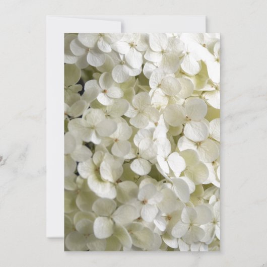 Witte Hydrangea Bloem Quinceanera Party Kaart (Achterkant)