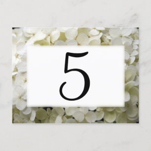 Witte Hydrangea Bloem Tafel Nummers Briefkaart