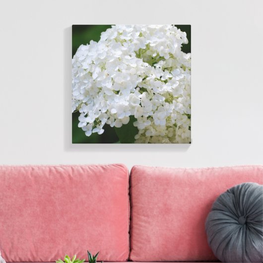 Witte Hydrangea Canvas Print (Insitu (Woonkamer))