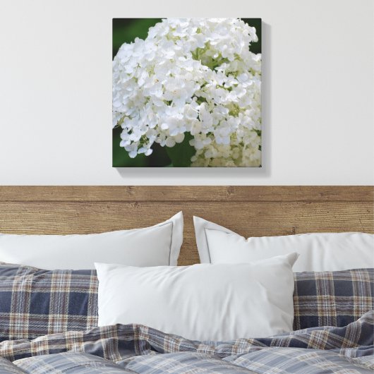 Witte Hydrangea Canvas Print (Insitu (Slaapkamer))