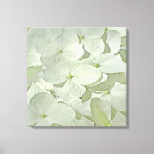 Witte Hydrangea Canvas Print (Voorkant)