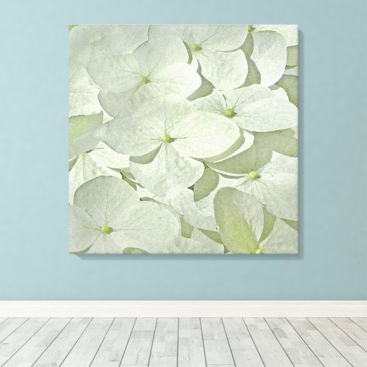Witte Hydrangea Canvas Print (Insitu (Houten vloer))