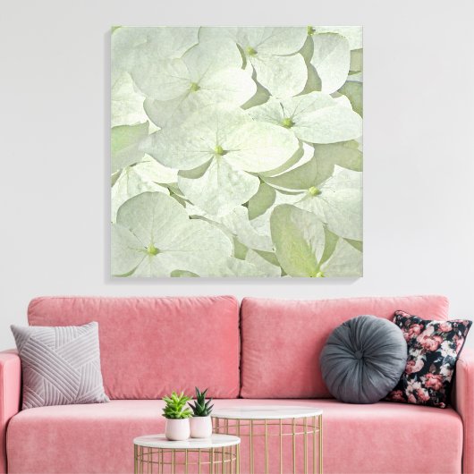 Witte Hydrangea Canvas Print (Insitu (Woonkamer))