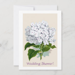 Witte hydrangea  flaconpreparaten Illustraties Kaart