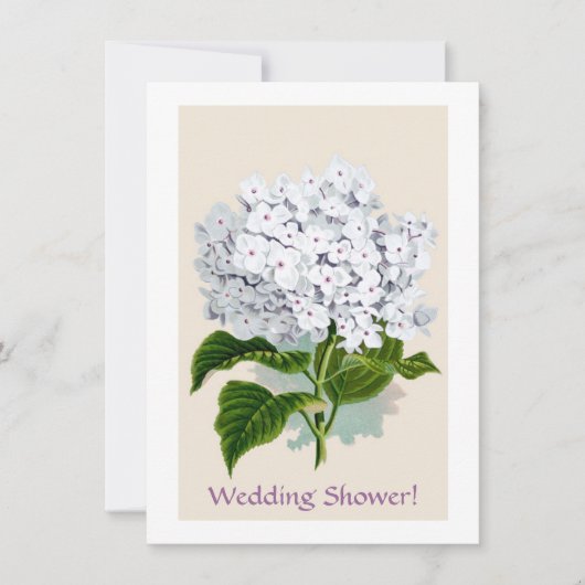 Witte hydrangea flaconpreparaten Illustraties Kaart (Voorkant)