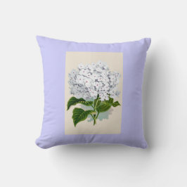 Witte hydrangea  flaconpreparaten Illustraties Kussen