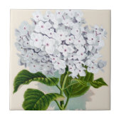 Witte hydrangea  flaconpreparaten Illustraties Tegeltje (Voorkant)