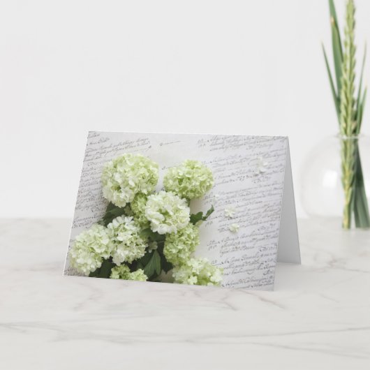witte hydrangea hortensia's met manuscript het kaart (Voorkant)