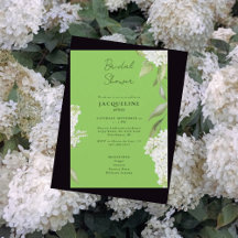 Witte Hydrangea Lime Groene Bruiloft Borrel 