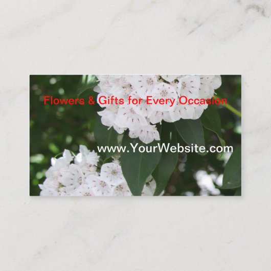 witte Hydrangea Mountain Laurel Flowers Visitekaartje (Achterkant)