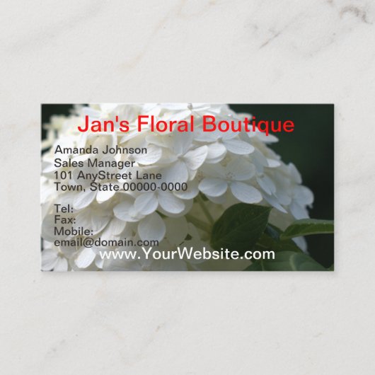  witte Hydrangea Mountain Laurel Flowers Visitekaartje (Voorkant)