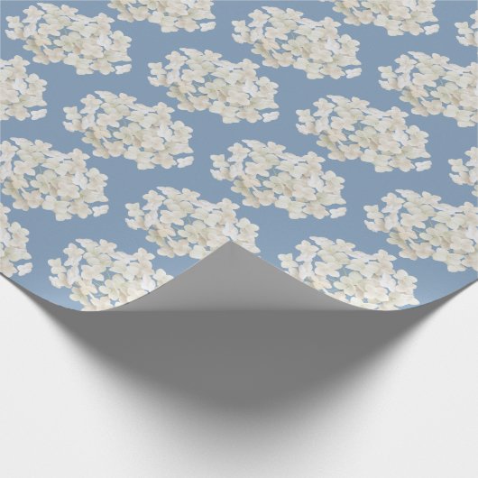 Witte hydrangea op pastblauw cadeaupapier (Hoek)