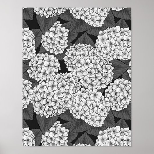 Witte hydrangea poster (Voorkant)