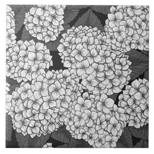Witte hydrangea tegeltje