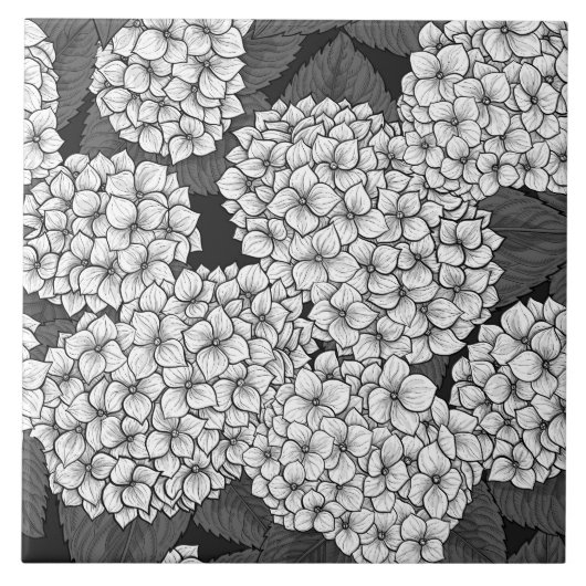 Witte hydrangea tegeltje (Voorkant)