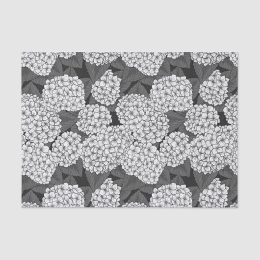 Witte hydrangea tissuepapier (Voorkant)