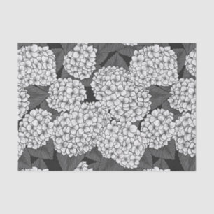 Witte hydrangea tissuepapier