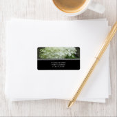 Witte Hydrangeas Adresetiketten Etiket (Insitu)