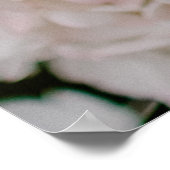 WITTE HYDRANGEAS IN BLOOM POSTER (Hoek)