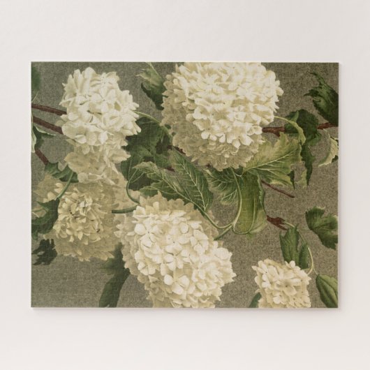 witte hydrangeas legpuzzel (Horizontaal)