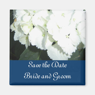Witte hydrangeas met zeegrens magneet
