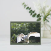 Witte Ibis Briefkaart (Staand voorkant)