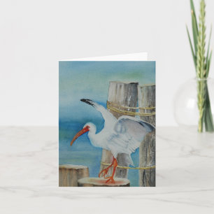 Witte Ibis door Peggy Allen Kaart