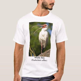 Witte Ibis (Eudocimus... T-shirt